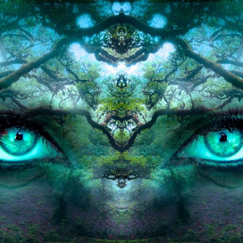 fantasy, eyes, forest-2824304.jpg